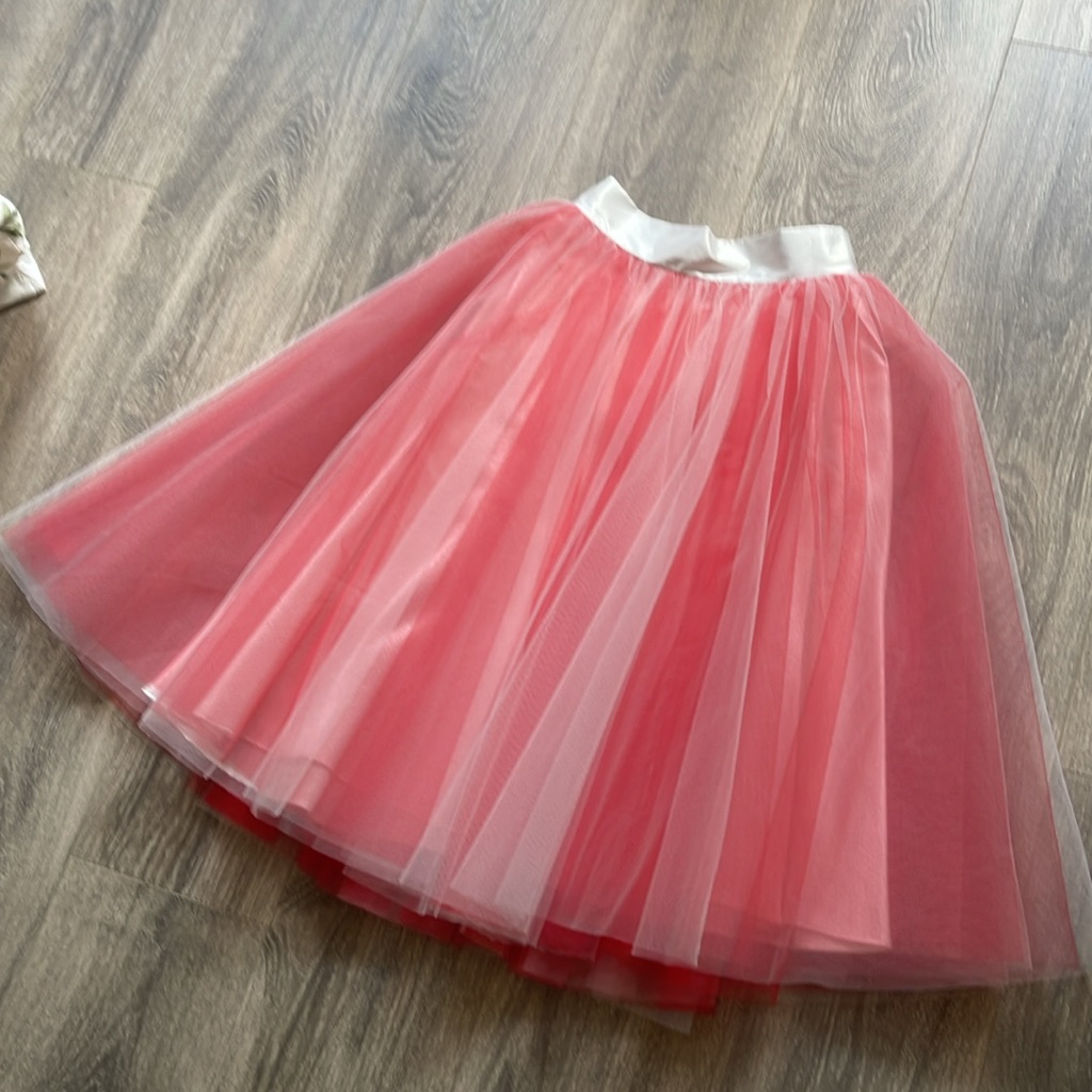 Space 46 Wendy Tulle Skirt 25 Inch